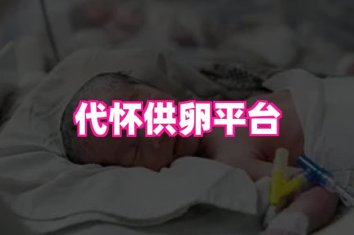 gfg孕网 1