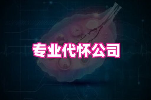 gfg孕网 2