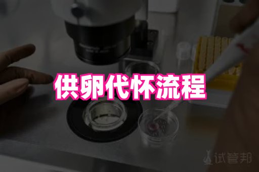 gfg孕网 4